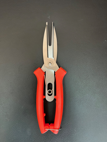 Секатор для прореживания завязи